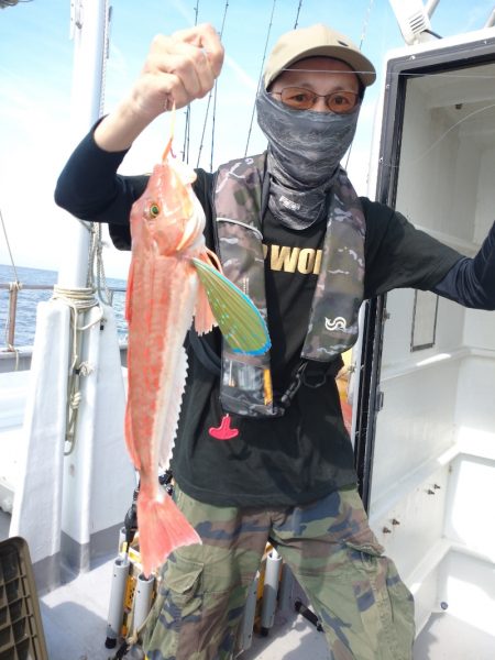 ありもと丸 釣果