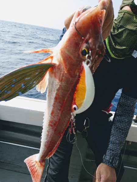 光生丸 釣果