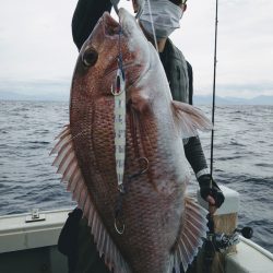 光生丸 釣果