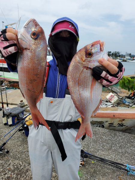 富士丸 釣果