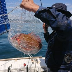 清和丸 釣果