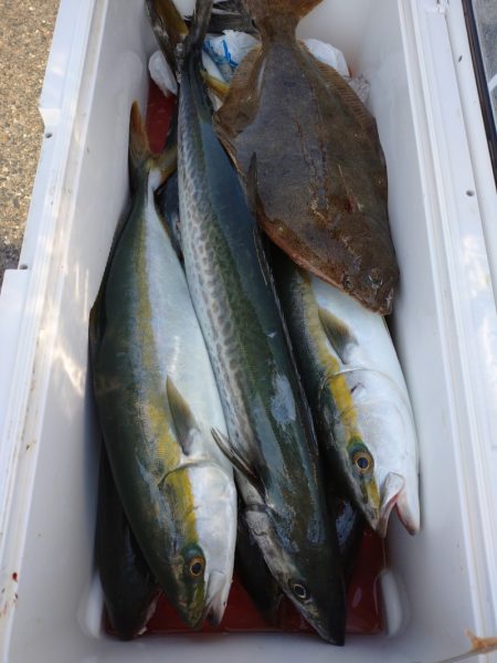 ありもと丸 釣果