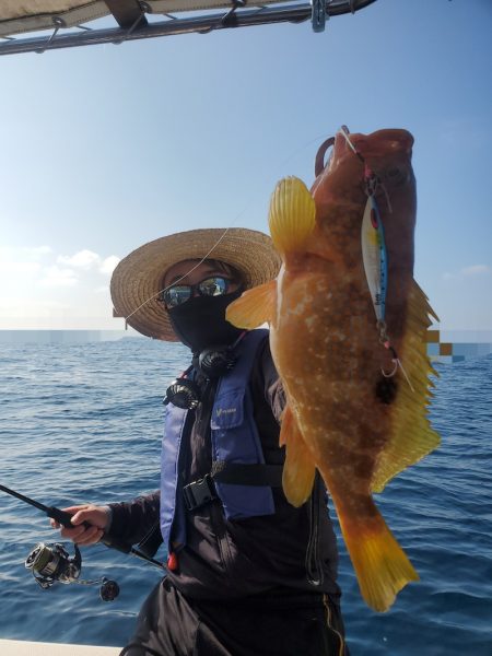 ソルトウォーターガイドフレンズ 釣果