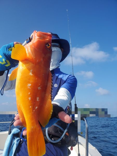 ソルトウォーターガイドフレンズ 釣果