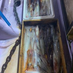 海龍丸（石川） 釣果