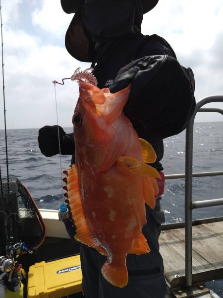 光生丸 釣果