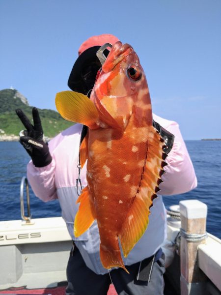 光生丸 釣果