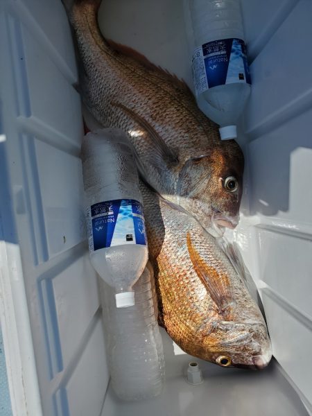 春盛丸 釣果