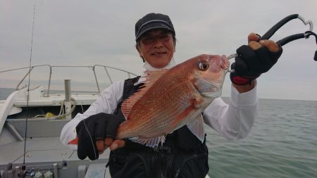 だて丸 釣果