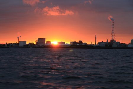 浜栄丸 釣果