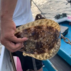 ぽん助丸 釣果