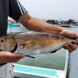 富士丸 釣果