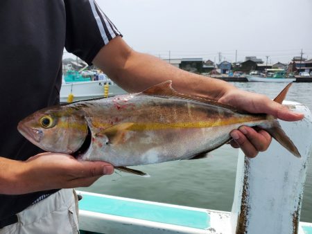 富士丸 釣果