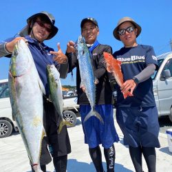 ぽん助丸 釣果