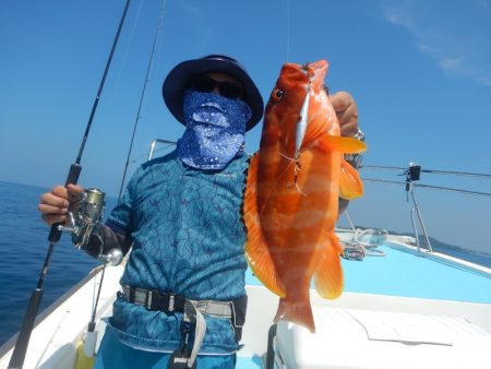 きずなまりん 釣果