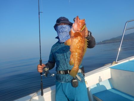 きずなまりん 釣果