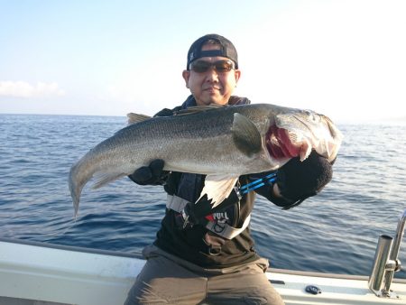 鷹王丸 釣果