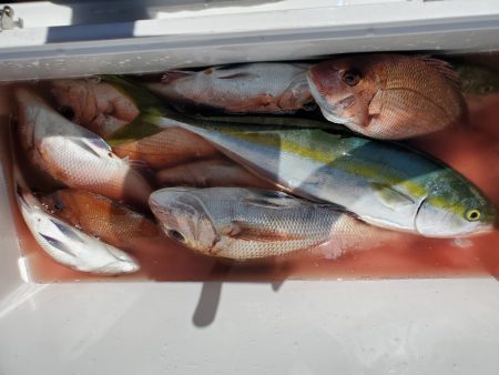 新幸丸 釣果