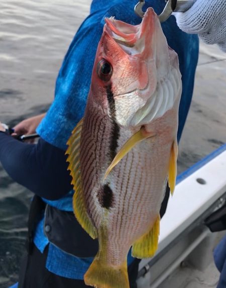 大雄丸 釣果