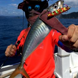 渡船屋たにぐち 釣果