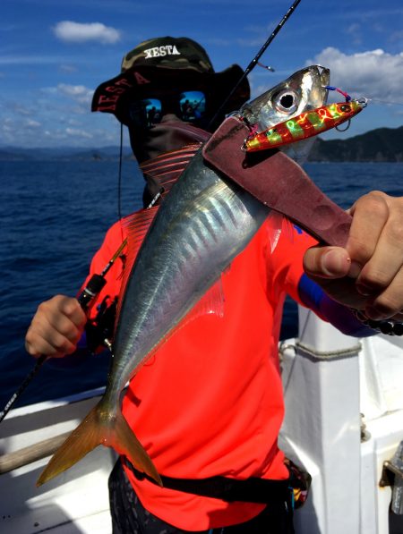 渡船屋たにぐち 釣果