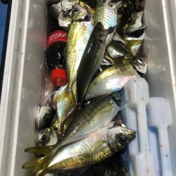 ヤザワ渡船 釣果