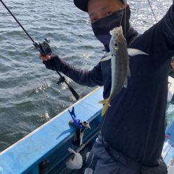 ヤザワ渡船 釣果