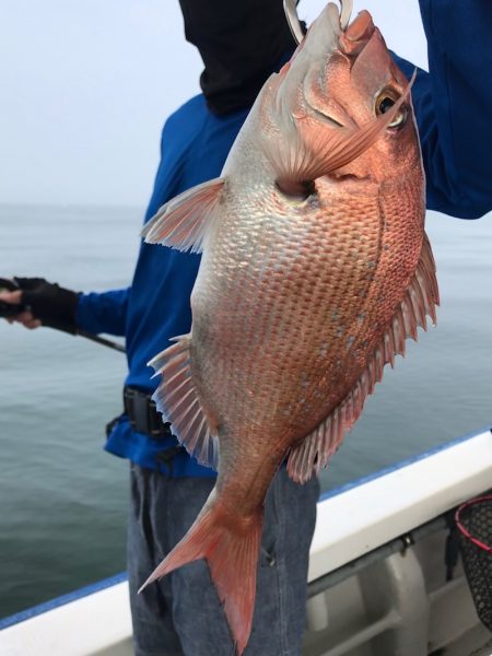 大雄丸 釣果