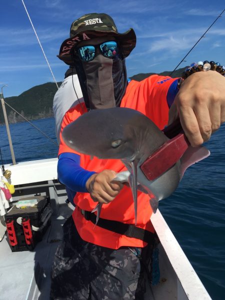 渡船屋たにぐち 釣果