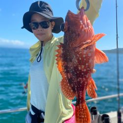 龍神丸（鹿児島） 釣果