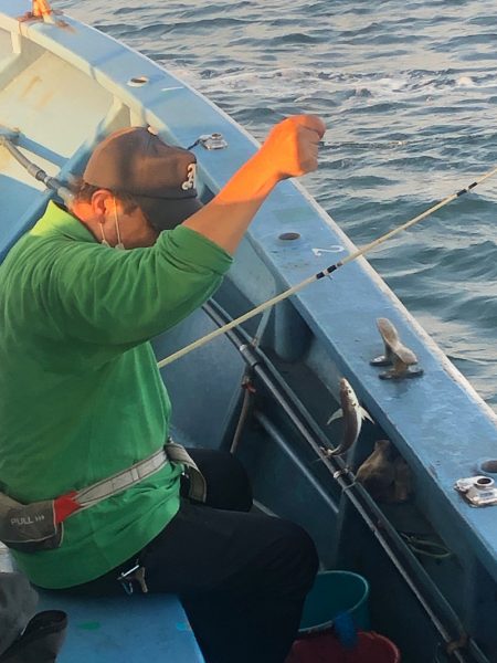 ヤザワ渡船 釣果