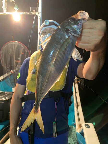 愛海丸 釣果