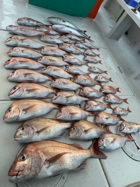 大雄丸 釣果