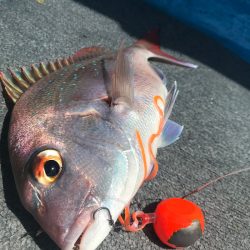 太平丸 釣果