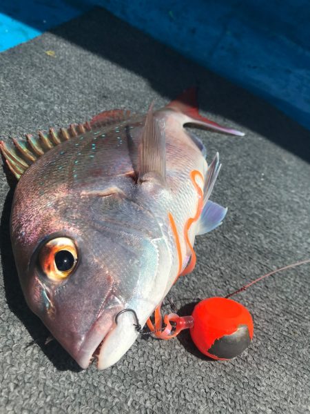 太平丸 釣果