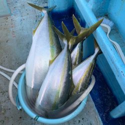 みやけ丸 釣果