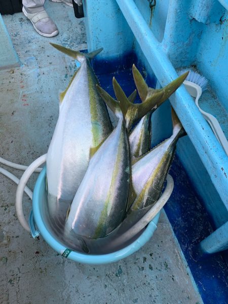 みやけ丸 釣果