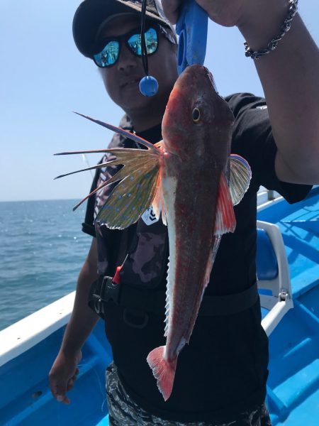 太平丸 釣果