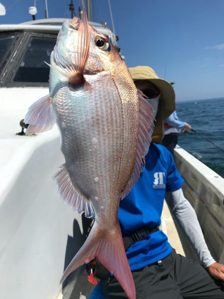 ランスルー 釣果