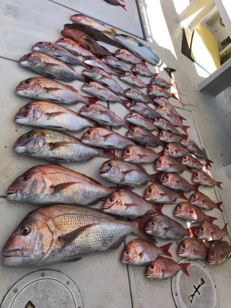 大雄丸 釣果