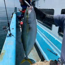 みやけ丸 釣果