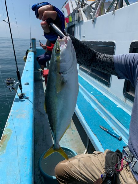 みやけ丸 釣果