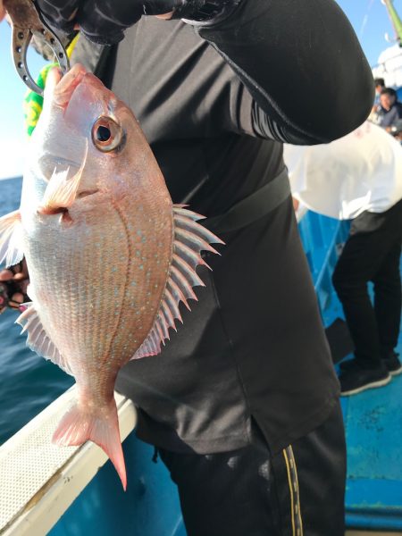 太平丸 釣果