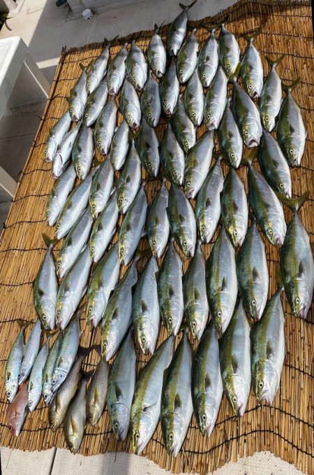 釣人家 釣果