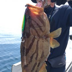 渡船屋たにぐち 釣果