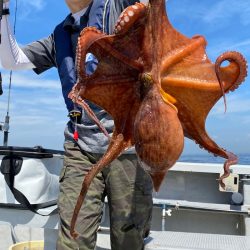 釣人家 釣果