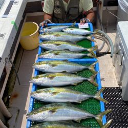 釣人家 釣果