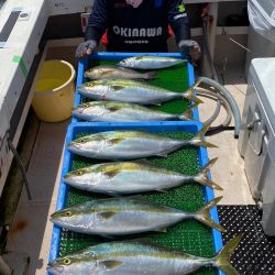 釣人家 釣果