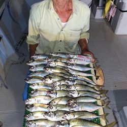 釣人家 釣果