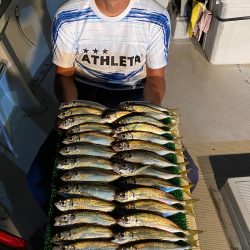 釣人家 釣果